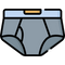 Briefs